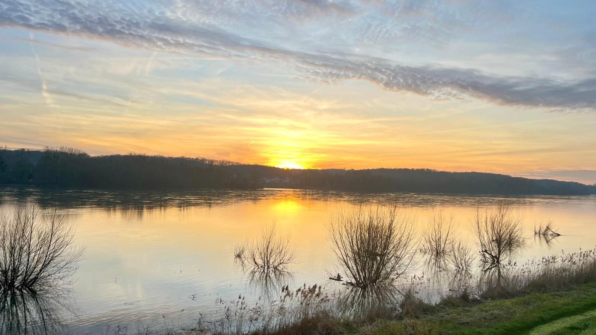Un Mirage Tropical En Bord De Loire, Love Et Detente Saint-Clément-des-Levées Zewnętrze zdjęcie